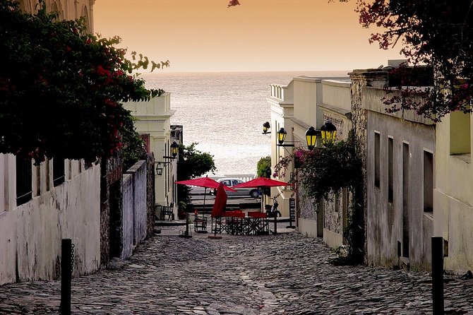 Colonia